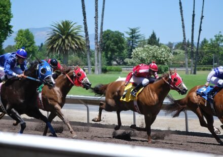 Quarter_Horse_Racing