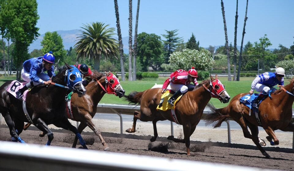 US Sanctions Mexican Cartel CDN’s Horse-Racing and Business Network in Major Crackdown Quarter_Horse_Racing