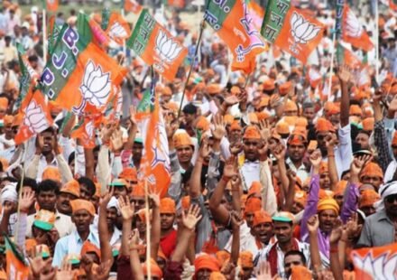 Supporter_of_Bharatiya_Janata_Party_at_an_election_rally