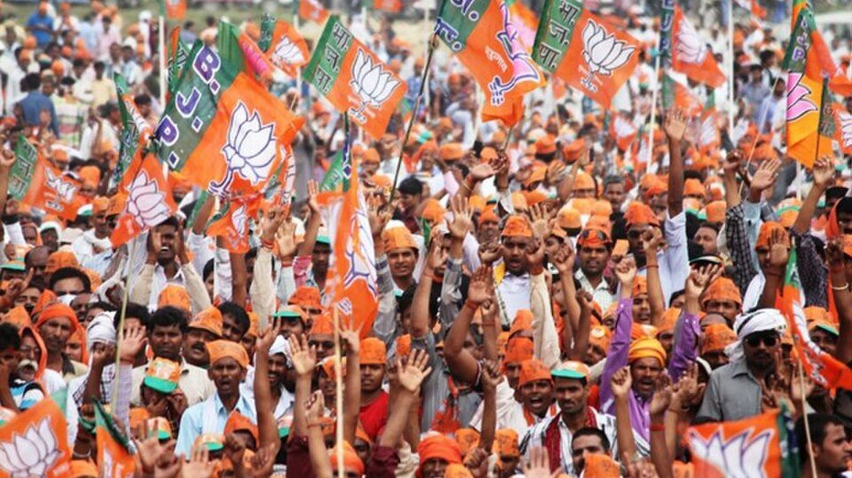 Supporter_of_Bharatiya_Janata_Party_at_an_election_rally
