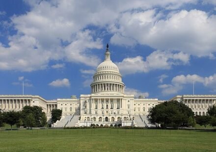 The white House