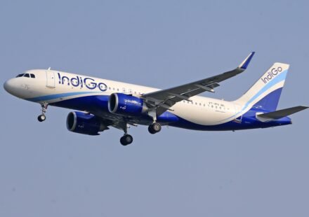 Indigo flight