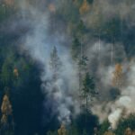 Amazon wildfires as thick smoke disrupts daily life in Manaus.