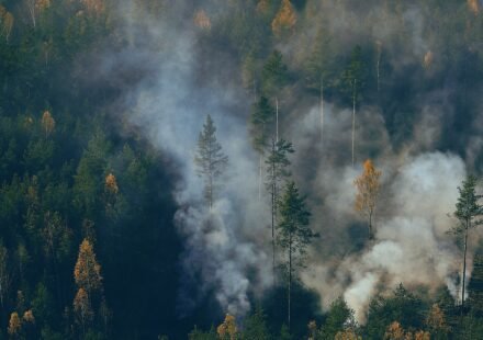 Amazon wildfires as thick smoke disrupts daily life in Manaus.