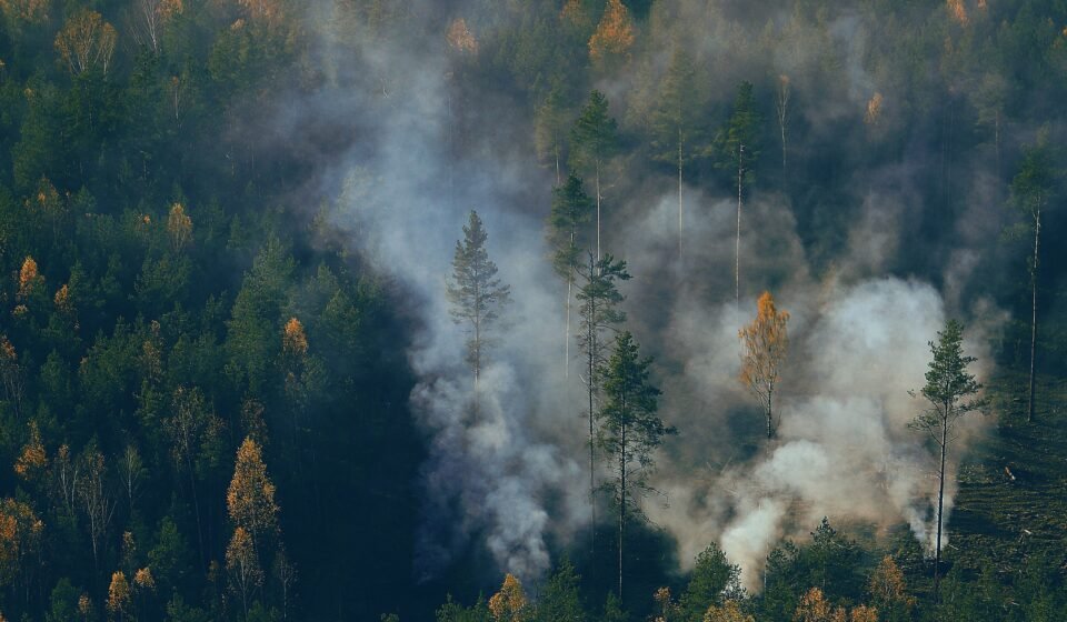 Amazon wildfires as thick smoke disrupts daily life in Manaus.