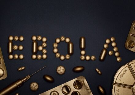 Ebola virus